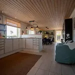 Soldal Ferienhaus Sindal