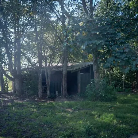 Σπίτι διακοπών Soldal Sindal